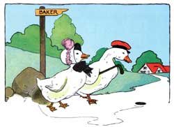 Ducks and Drakes
